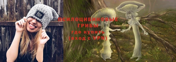 гидра Дмитриев