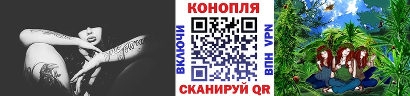 Купить  Каргат  Канабис семена 